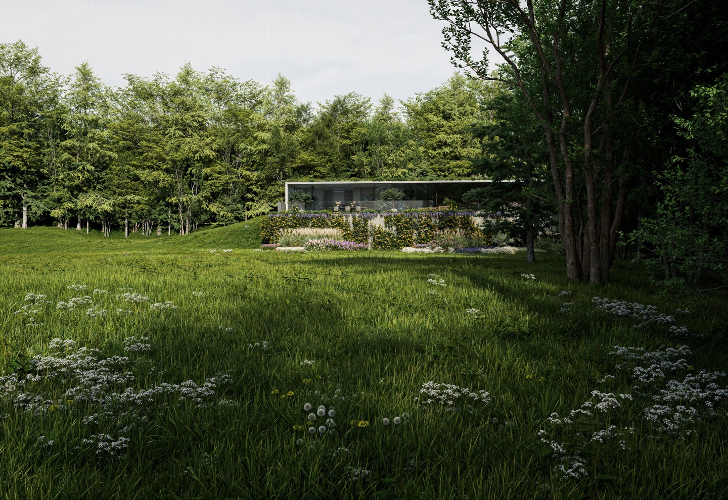 landscape render of The Clearing, a secluded house wrapped in a meadow garden